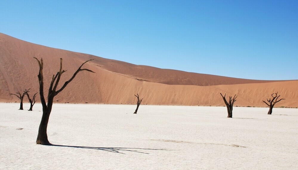 Northern Namibia, Damaraland, Coast, And Sossusvlei Camping Safari