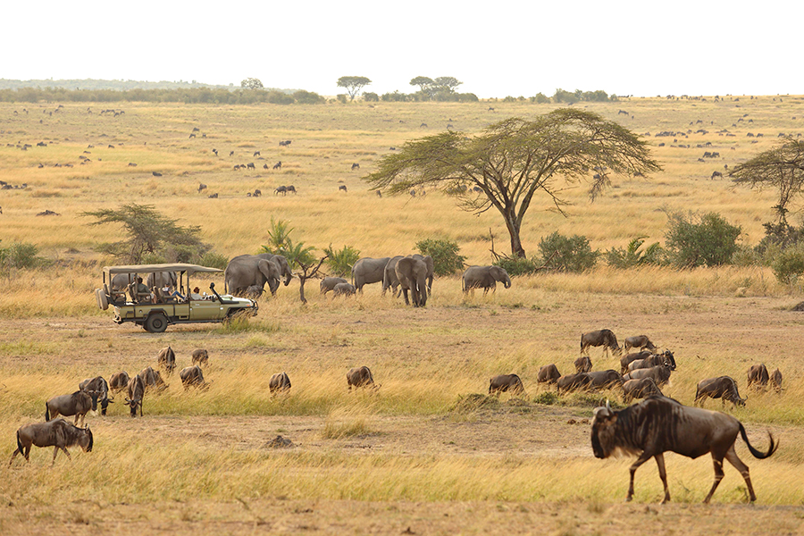 Discover The Wonders Of Africa In January