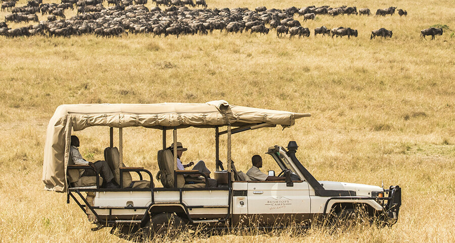 Discover Africa Your Ultimate Adventure Awaits